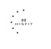 New Gadget: Misfit Shine